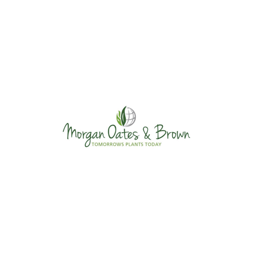 Logo Morgan Oates Brown Quadrat